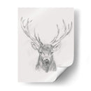 Bosquejo De Alces Contemporáneos Ii - Ethan Harper | Cuadro decorativo de Canvas Lab