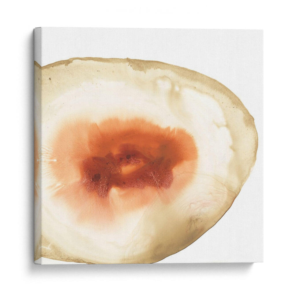 Geodes Recortados Iv - June Erica Vess | Cuadro decorativo de Canvas Lab
