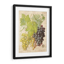 Grapevine I - Nobleworks Inc. | Cuadro decorativo de Canvas Lab