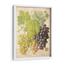Grapevine I - Nobleworks Inc. | Cuadro decorativo de Canvas Lab