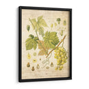 Grapevine Ii - Nobleworks Inc. | Cuadro decorativo de Canvas Lab