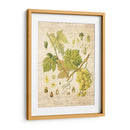 Grapevine Ii - Nobleworks Inc. | Cuadro decorativo de Canvas Lab