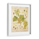Grapevine Ii - Nobleworks Inc. | Cuadro decorativo de Canvas Lab