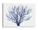 Fan Azure I - Grace Popp | Cuadro decorativo de Canvas Lab