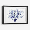 Fan Azure I - Grace Popp | Cuadro decorativo de Canvas Lab
