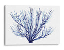 Azure Fan Ii - Grace Popp | Cuadro decorativo de Canvas Lab