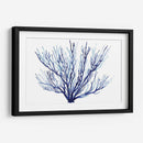 Azure Fan Ii - Grace Popp | Cuadro decorativo de Canvas Lab