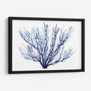 Azure Fan Ii - Grace Popp | Cuadro decorativo de Canvas Lab