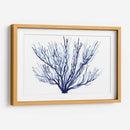 Azure Fan Ii - Grace Popp | Cuadro decorativo de Canvas Lab
