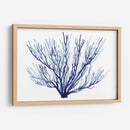 Azure Fan Ii - Grace Popp | Cuadro decorativo de Canvas Lab