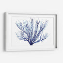 Azure Fan Ii - Grace Popp | Cuadro decorativo de Canvas Lab