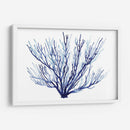 Azure Fan Ii - Grace Popp | Cuadro decorativo de Canvas Lab