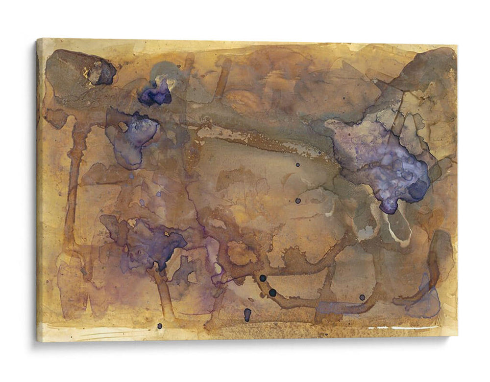 Inclusión Violeta Ii - Renee W. Stramel | Cuadro decorativo de Canvas Lab