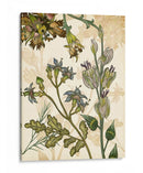 Encantado I - Melissa Wang | Cuadro decorativo de Canvas Lab