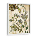 Encantado I - Melissa Wang | Cuadro decorativo de Canvas Lab