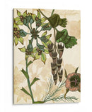 Encantado Ii - Melissa Wang | Cuadro decorativo de Canvas Lab