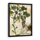 Encantado Ii - Melissa Wang | Cuadro decorativo de Canvas Lab