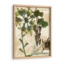 Encantado Ii - Melissa Wang | Cuadro decorativo de Canvas Lab