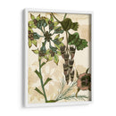 Encantado Ii - Melissa Wang | Cuadro decorativo de Canvas Lab