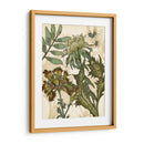 Encantado Iii - Melissa Wang | Cuadro decorativo de Canvas Lab