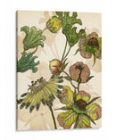 Iv Encantado - Melissa Wang | Cuadro decorativo de Canvas Lab