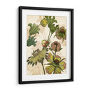 Iv Encantado - Melissa Wang | Cuadro decorativo de Canvas Lab