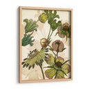 Iv Encantado - Melissa Wang | Cuadro decorativo de Canvas Lab