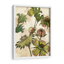 Iv Encantado - Melissa Wang | Cuadro decorativo de Canvas Lab