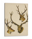 Mundo Salvaje I - Melissa Wang | Cuadro decorativo de Canvas Lab