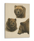 Mundo Salvaje Iv - Melissa Wang | Cuadro decorativo de Canvas Lab