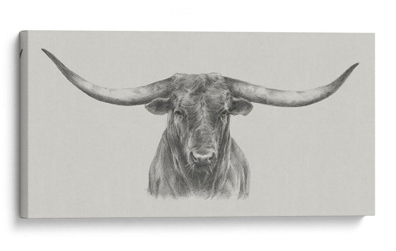 Longhorn Bull - Ethan Harper | Cuadro decorativo de Canvas Lab