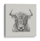 Toro Blanco Y Negro - Ethan Harper | Cuadro decorativo de Canvas Lab