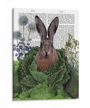 Rabbit De Parche De Repollo 1 - Fab Funky | Cuadro decorativo de Canvas Lab
