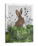 Rabbit De Parche De Repollo 2 - Fab Funky | Cuadro decorativo de Canvas Lab