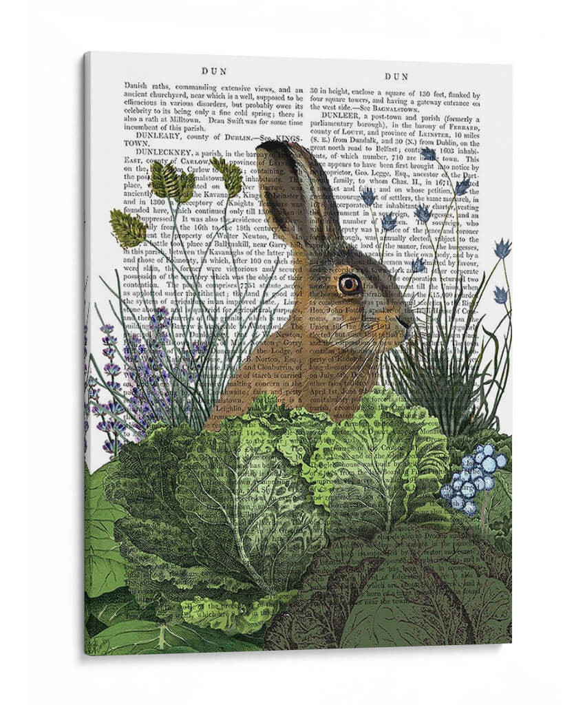 Parche De Repollo Conejo 3 - Fab Funky | Cuadro decorativo de Canvas Lab