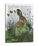 Parche De Repollo Conejo 3 - Fab Funky | Cuadro decorativo de Canvas Lab