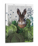 Rabbit De Parche De Repollo 4 - Fab Funky | Cuadro decorativo de Canvas Lab