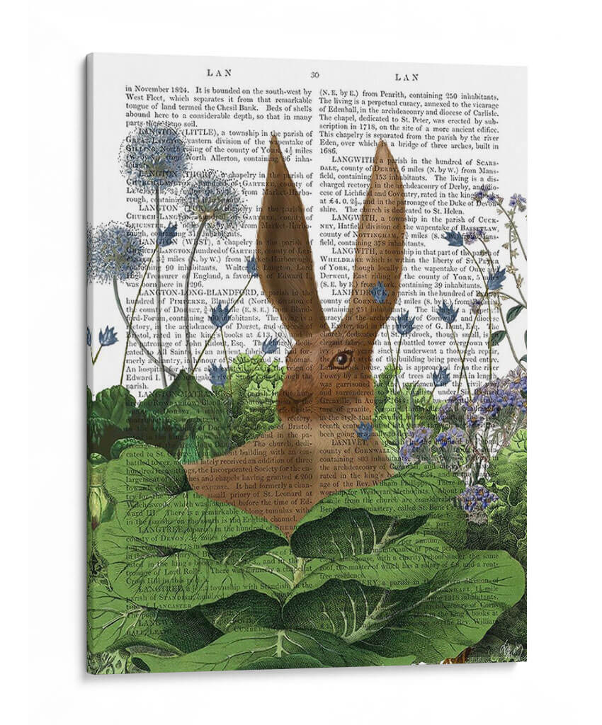Rabbit De Parche De Repollo 5 - Fab Funky | Cuadro decorativo de Canvas Lab