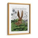Rabbit De Parche De Repollo 5 - Fab Funky | Cuadro decorativo de Canvas Lab