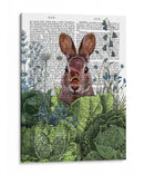 Rabbit De Parche De Repollo 6 - Fab Funky | Cuadro decorativo de Canvas Lab