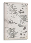 Colección De Hierbas E - Grace Popp | Cuadro decorativo de Canvas Lab