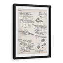 Colección De Hierbas E - Grace Popp | Cuadro decorativo de Canvas Lab