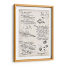 Colección De Hierbas E - Grace Popp | Cuadro decorativo de Canvas Lab