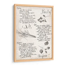 Colección De Hierbas E - Grace Popp | Cuadro decorativo de Canvas Lab