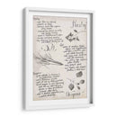 Colección De Hierbas E - Grace Popp | Cuadro decorativo de Canvas Lab