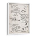 Colección De Hierbas E - Grace Popp | Cuadro decorativo de Canvas Lab