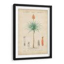 Botanique Tropical Ii - Vision Studio | Cuadro decorativo de Canvas Lab