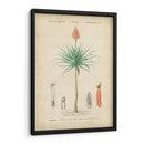 Botanique Tropical Ii - Vision Studio | Cuadro decorativo de Canvas Lab
