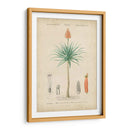 Botanique Tropical Ii - Vision Studio | Cuadro decorativo de Canvas Lab
