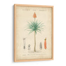 Botanique Tropical Ii - Vision Studio | Cuadro decorativo de Canvas Lab